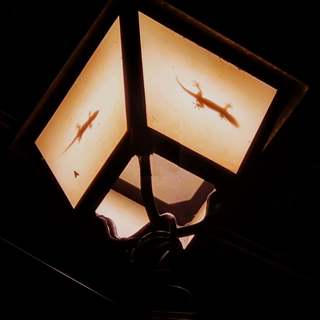 281 Night rain in the Pyrenees (sleep safe with chimes)