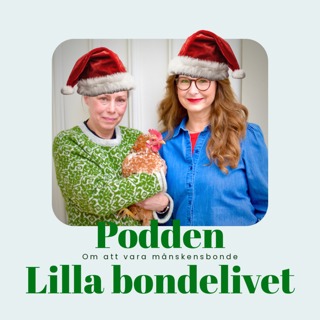 Julspecial