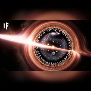 Le Notizie Scientifiche Più Pazze del 2025