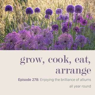 Enjoying the brilliance of alliums all year round - Episode 278