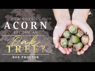 The Natural Laws of Growth | Bob Proctor