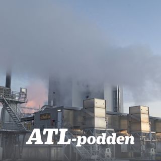Potatis, bioolja och smart fågelskrämma