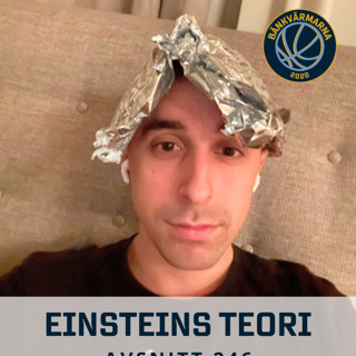 246. Einsteins teori