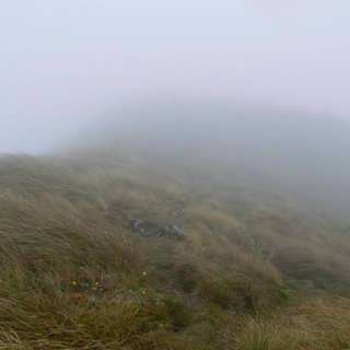 Till världens ände