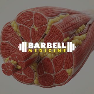 Is Obesity A Muscle Problem?