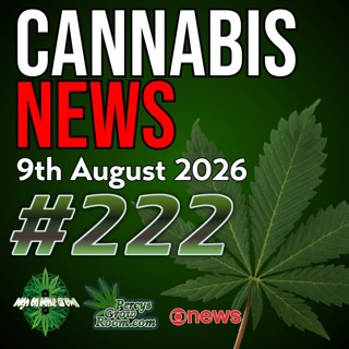 16 Year Old Killed Over £25 Cannabis Debt, Mom Smuggles £512K of Cannabis from Thailand, PTSD Cannabis Research, New York Sales in Famers Markets, & Edible Driving Warning | Cannabis News Ep. 222