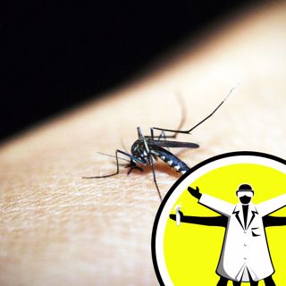 Malaria Vaccine, Net Zero & Project Hail Mary