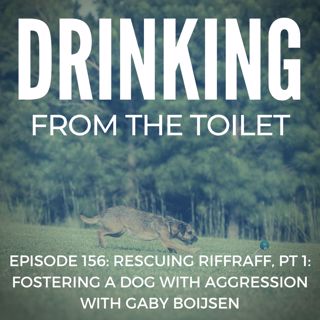 #156: Rescuing RiffRaff, Pt 1: Fostering a Dog With Aggression with Gaby Boijsen