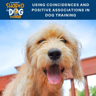 Using Coincidences and Positive Associations in Dog Training #44