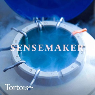 Sensemaker: When egg freezing goes wrong