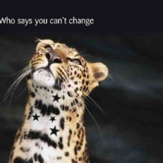 Change Mgt - Kotter's Theory