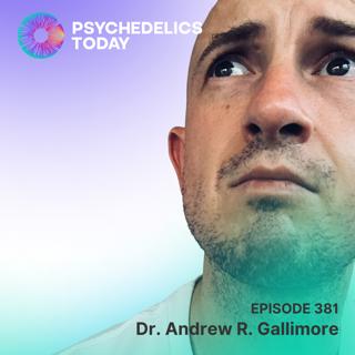 PT381 – Dr. Andrew R. Gallimore – DMT, Hierarchies of Complexity, and Reality Switch Technologies