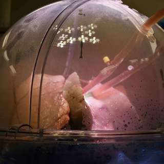 UK Launches Fund for Food Waste, UK Launches Lungs in a Box, Business Leaders Demand Social Housing Funding, Experts Advocate Self-Referral X-Rays, and more...