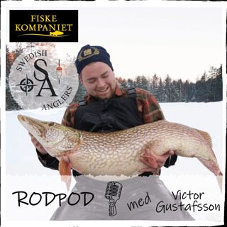 Avsnitt 44 - Victor Gustafsson