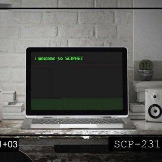 SCP-2317: "A Door to Another World"