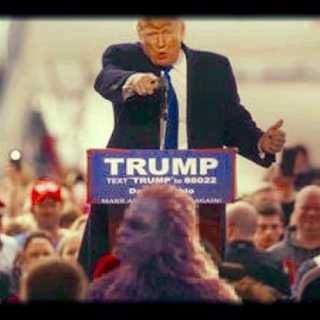 Början till slutet? Om populismen, elitismen och demokratin