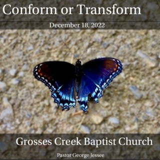 Conform Or Transform