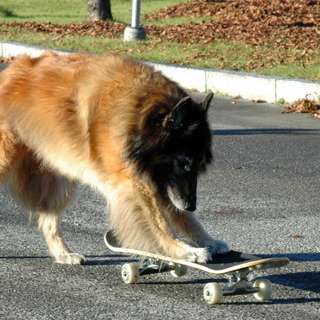 Episode 2 - "Fem om dagen"