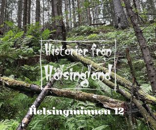 Helsingminnen 12 - Berättelser och sägner, krigsbragder och äventyr, historiska skildringar och kulturbilder