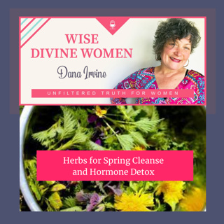 Let's get Wise about the importance of Spring Herbs for Hormonal Balance and Spring Detox 