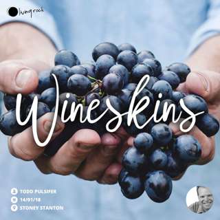 Wineskins | Todd Pulsifer | 14/01/18 | Stoney Stanton