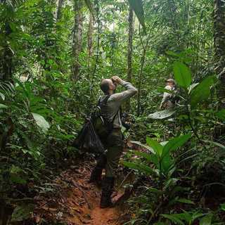 Amazonas unika artrikedom