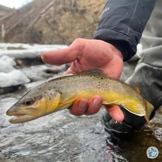 S7, Ep 5: Central PA's Winter Fishing Forecast with George Costa