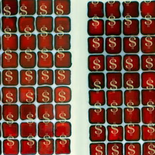 Festival of Democracy | Capitalism, Socialism and Democracy: Old Visions, New Realities