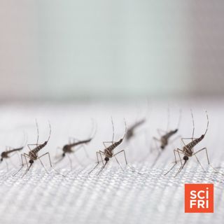 Mosquito-Borne Diseases Are Spreading | ‘Slingshot’ And A Space Mission Gone Wrong