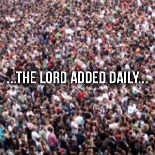 The Lord Added Daily | Arne Skagen