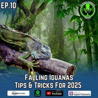 Dealing with Falling Iguanas: Essential Tips and Tricks For 2025