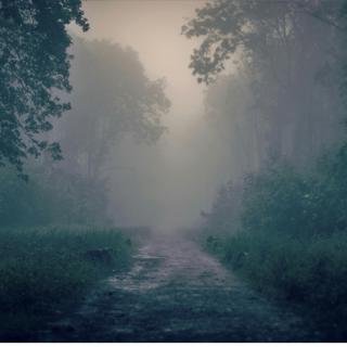 222: Mystery and Motivation