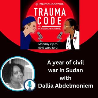 A year of Civil War in Sudan with Dallia Abdelmoniem