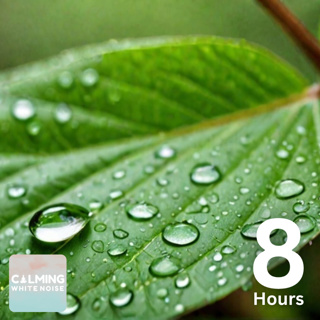 8 HOURS of Rain Sound for Relaxation | Ultimate Stress Relief, Deep Sleep, or Meditation