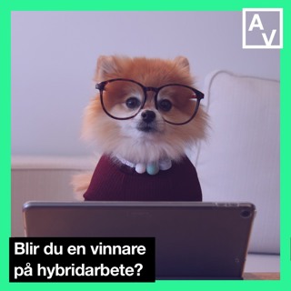 Blir du en vinnare på hybridarbete?