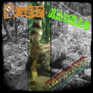 S03E07. Kackao