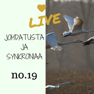 Jakso # 19 Johdatusta ja synkroniaa
