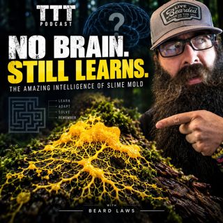 Can Something Without a Brain Be Intelligent?