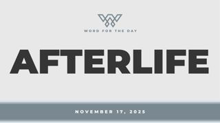 AFTERLIFE