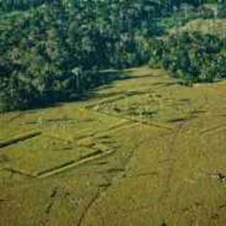 Ur Arkivet -Civilisationer i amazonas djungler 