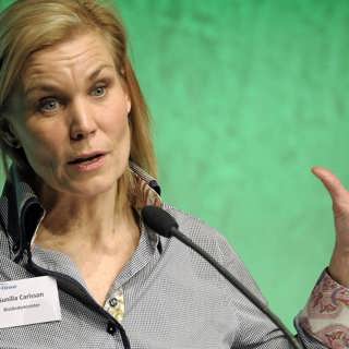 Gunilla Carlsson - varför är det så tyst om biståndet?