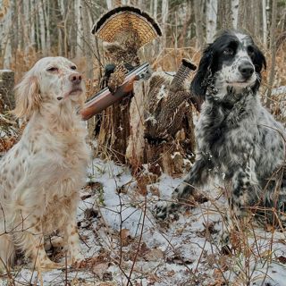 #251 | Ruffed Grouse and Grouse Cover with Kyle Warren