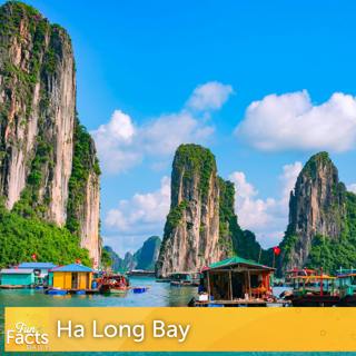 Fun Facts About Ha Long Bay