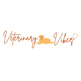Dog Doctor on Duty: From the Military to Mentorship W/ Dr. Cortney Curtis Eps. 33