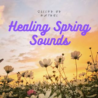 🌿End your Long Day with the Calm of Healing Spring Season Sounds ASMR | Calming Experience Fresh Morning Ambience Ambiance Meditation Peaceful Atmosphere Beauty of Nature Anti Stress Anxiety Deep Sleep 2025