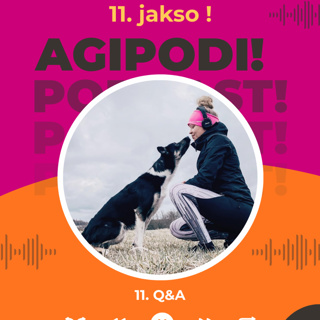 11. Q&A
