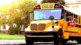 School bus driver in custody after alleged strangulation of student