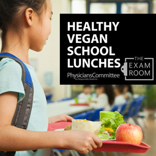 Healthy Vegan School Lunches