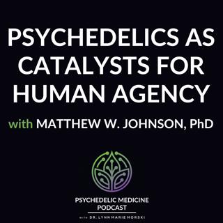 Psychedelics as Catalysts for Human Agency with Matthew W. Johnson, PhD