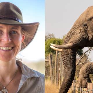 Kate uppfyller ett livslångt löfte till världens elefanter